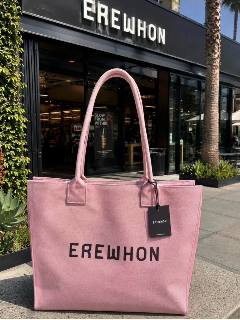 Erewhon Traveler Tote